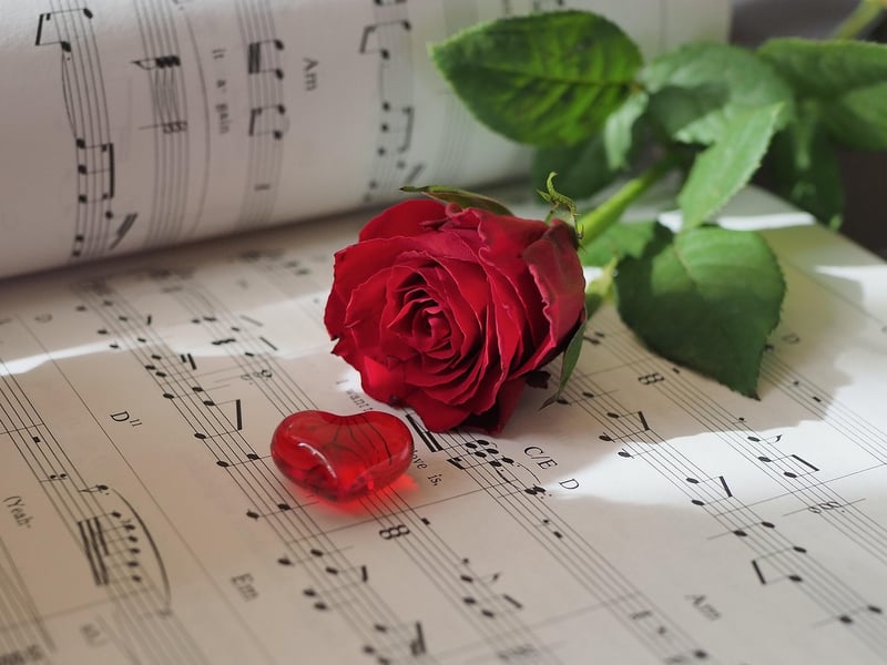 Romantic Rose